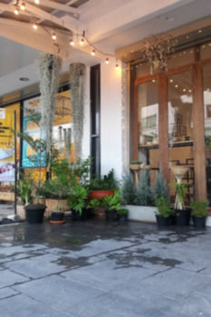 Rimnim * Chiang Mai