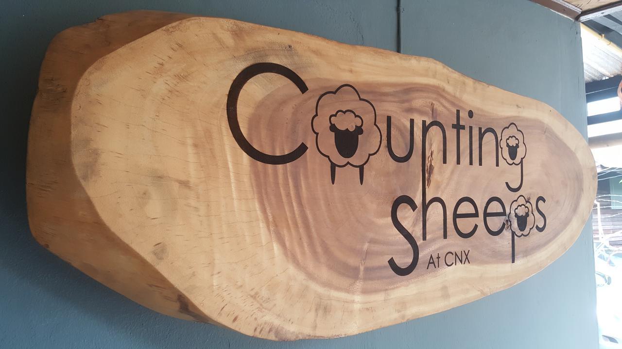 Counting Sheeps At Cnx (adults Only) * Chiang Mai