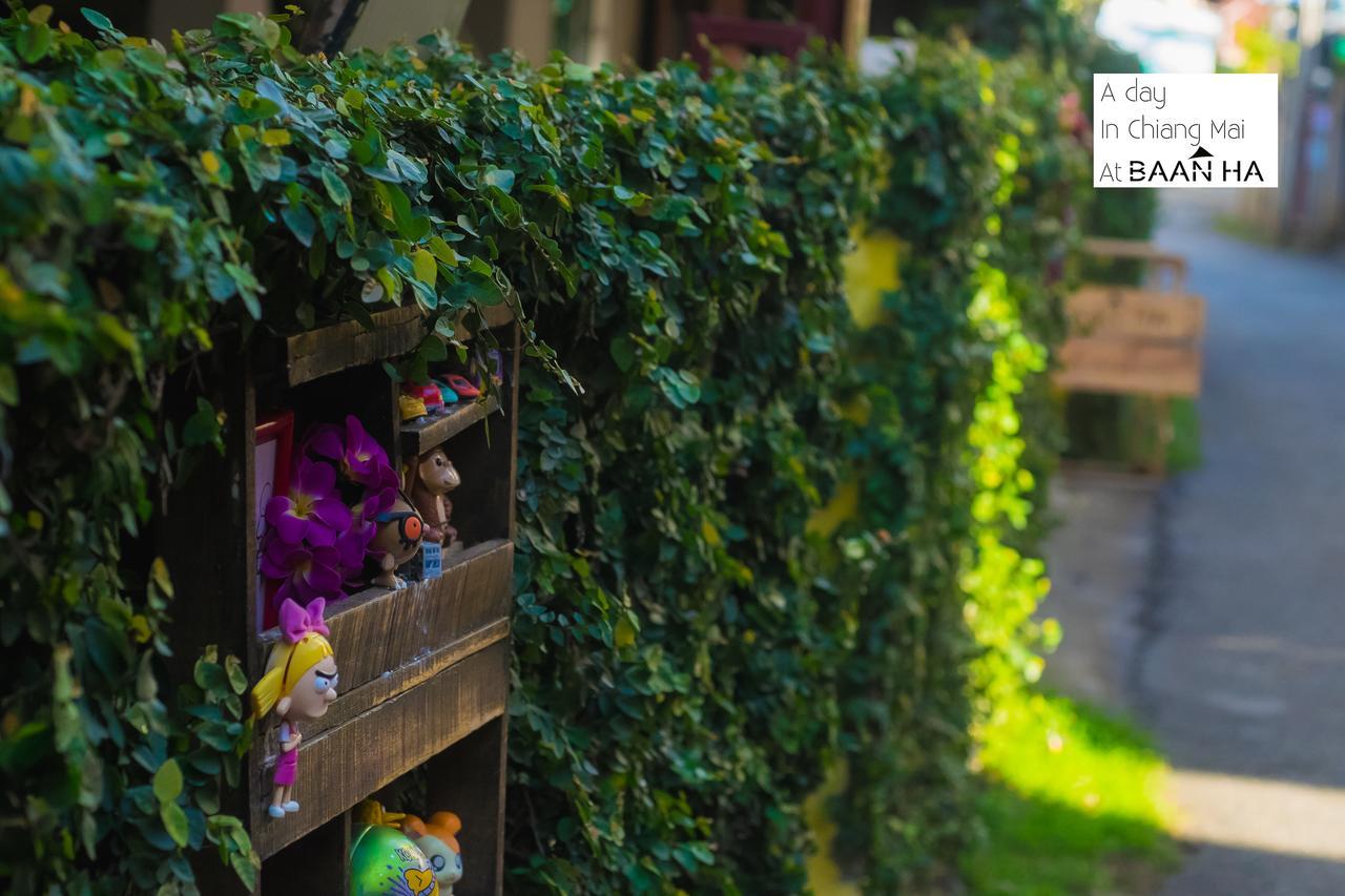 Baan Ha 2* Chiang Mai