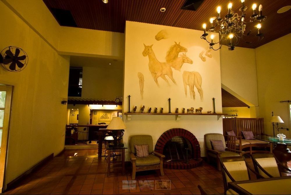 Hotel Palm Springs 3*