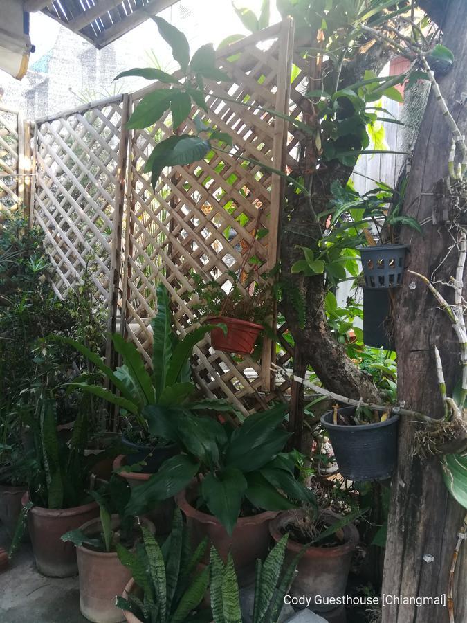 Cody Hostel