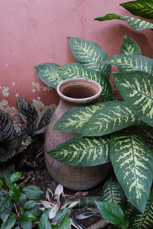Pim's Bb 2* Chiang Mai
