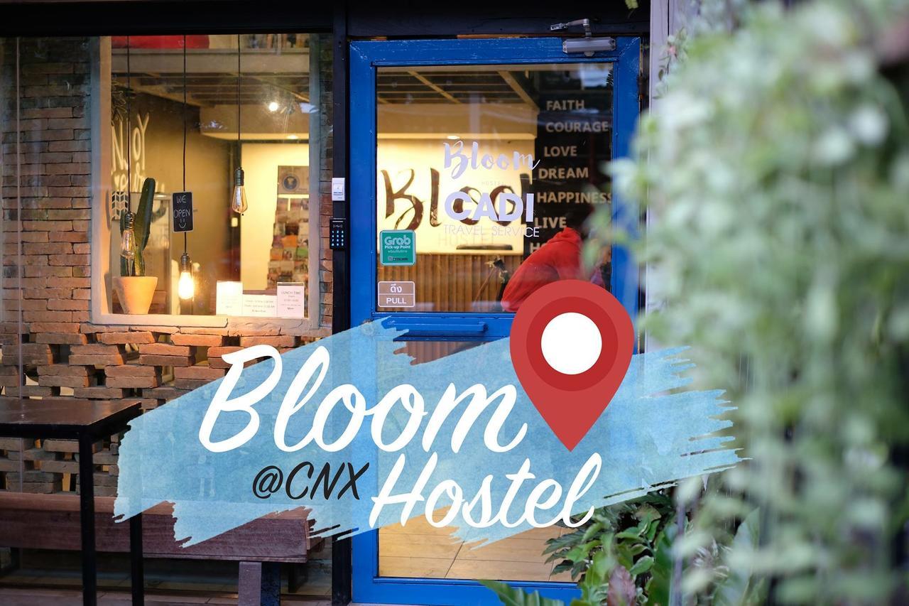 Albergue Bloomz *