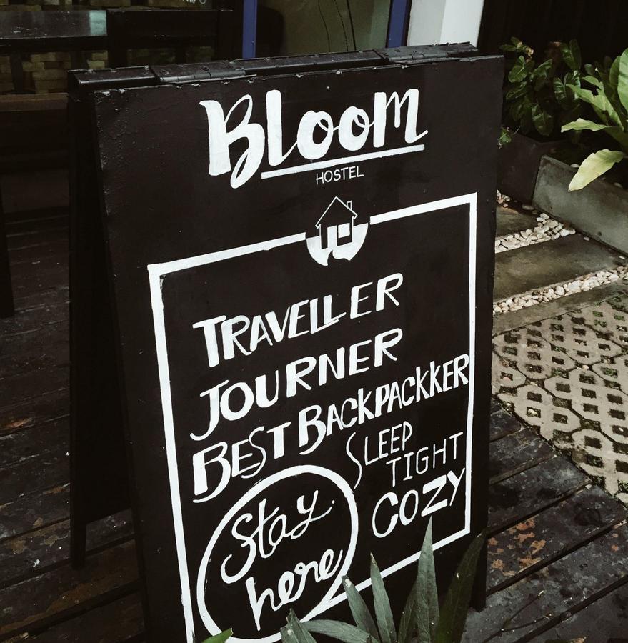 Bloomz Chiang Mai