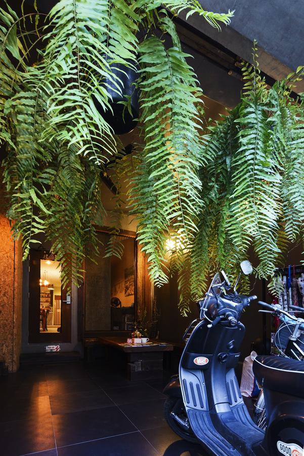 Bed & Breakfast Pak Ping The Cozy Living In Chiangmai 3*