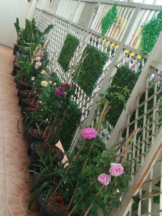 Dd Smile House, Nong Hoi * Chiang Mai
