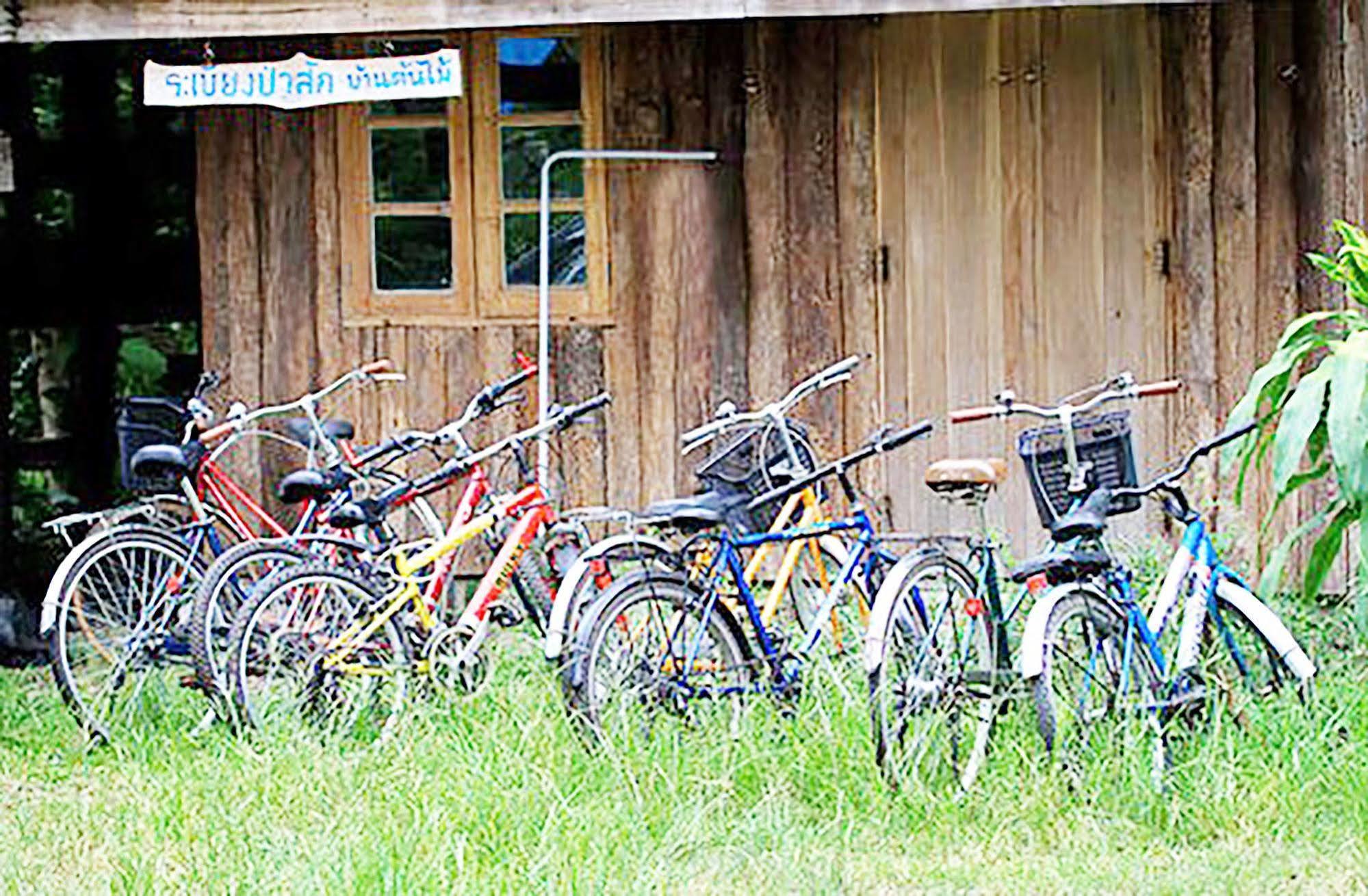 Rabeang Pasak Treehouse Chiang Mai