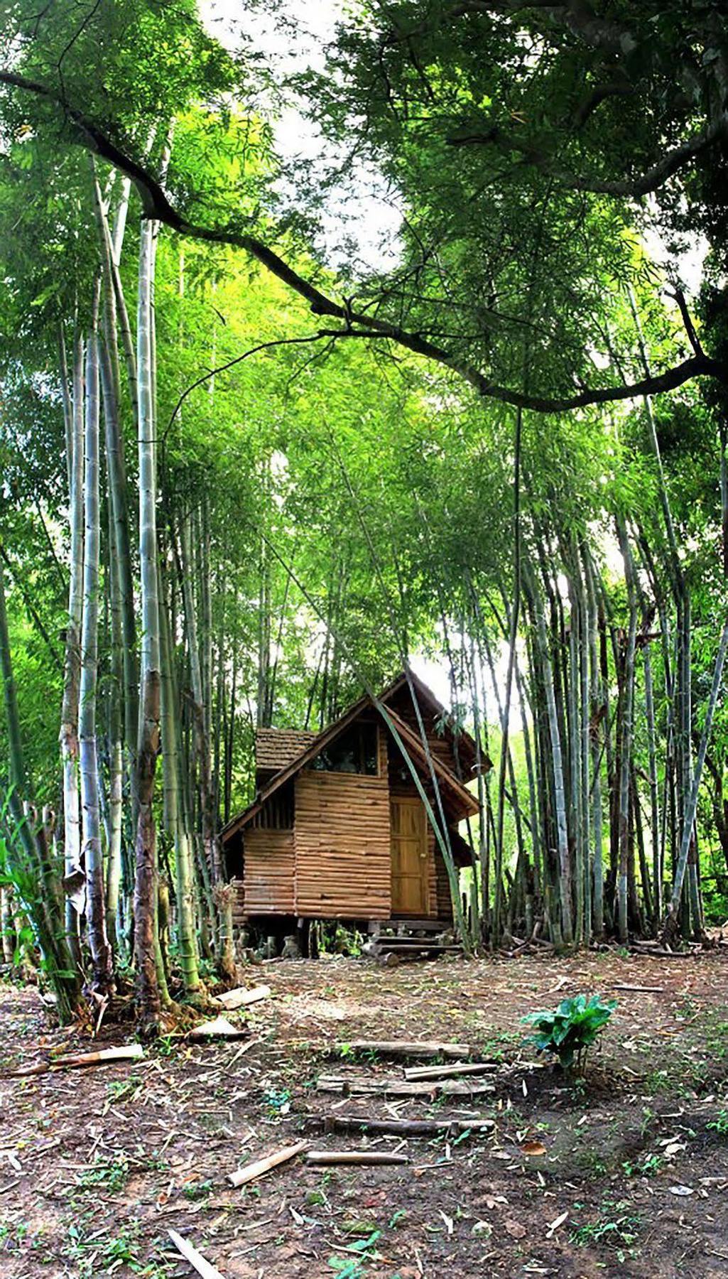 Rabeang Pasak Treehouse Hotel