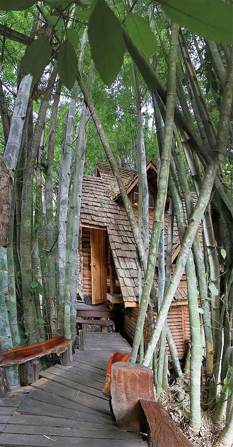 Rabeang Pasak Treehouse Chiang Mai