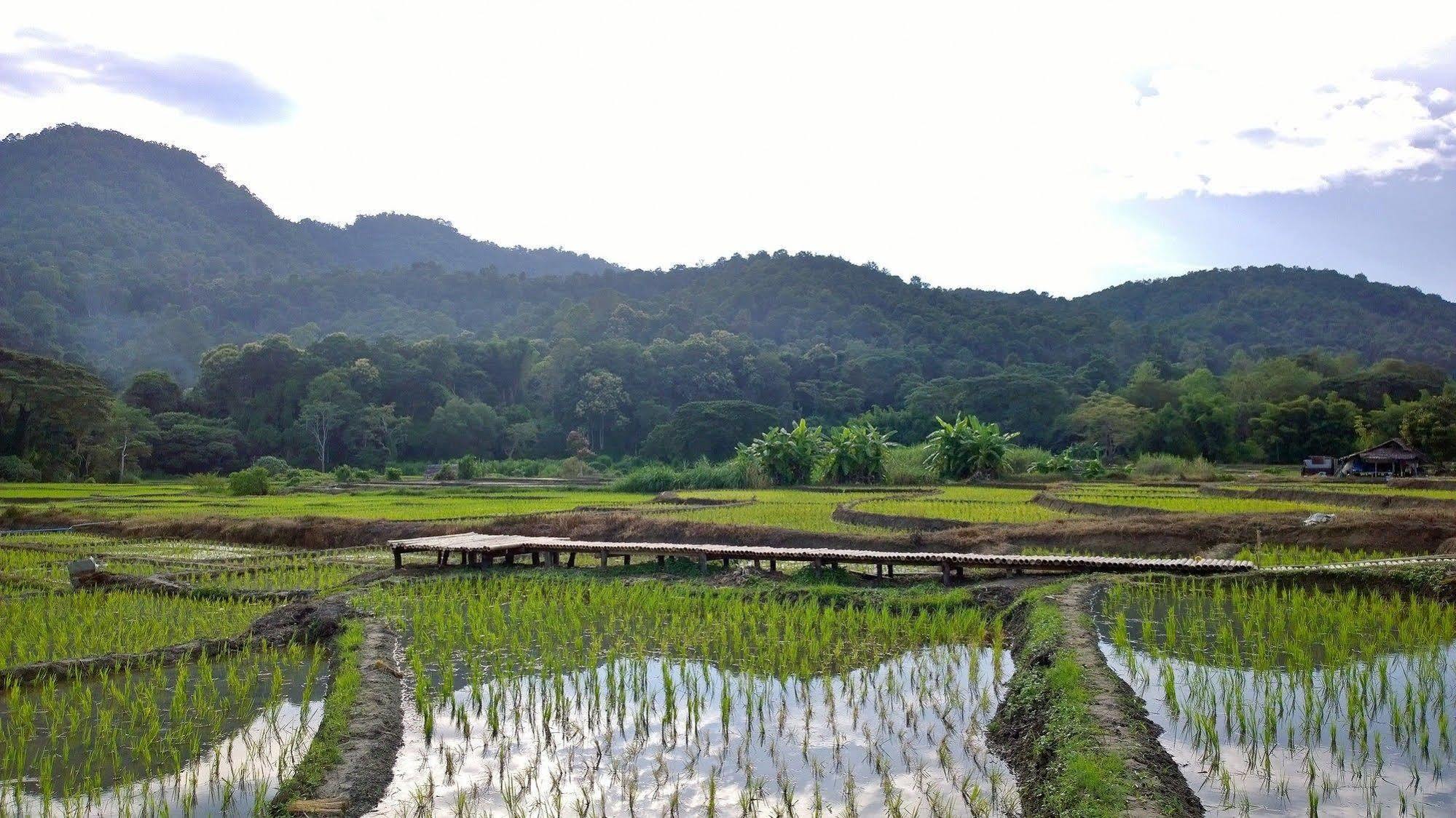 Bulunburi Resort