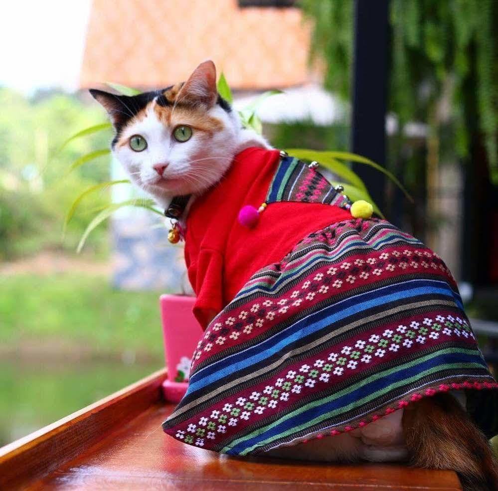 Baan Suan Him Doi 3* Chiang Mai