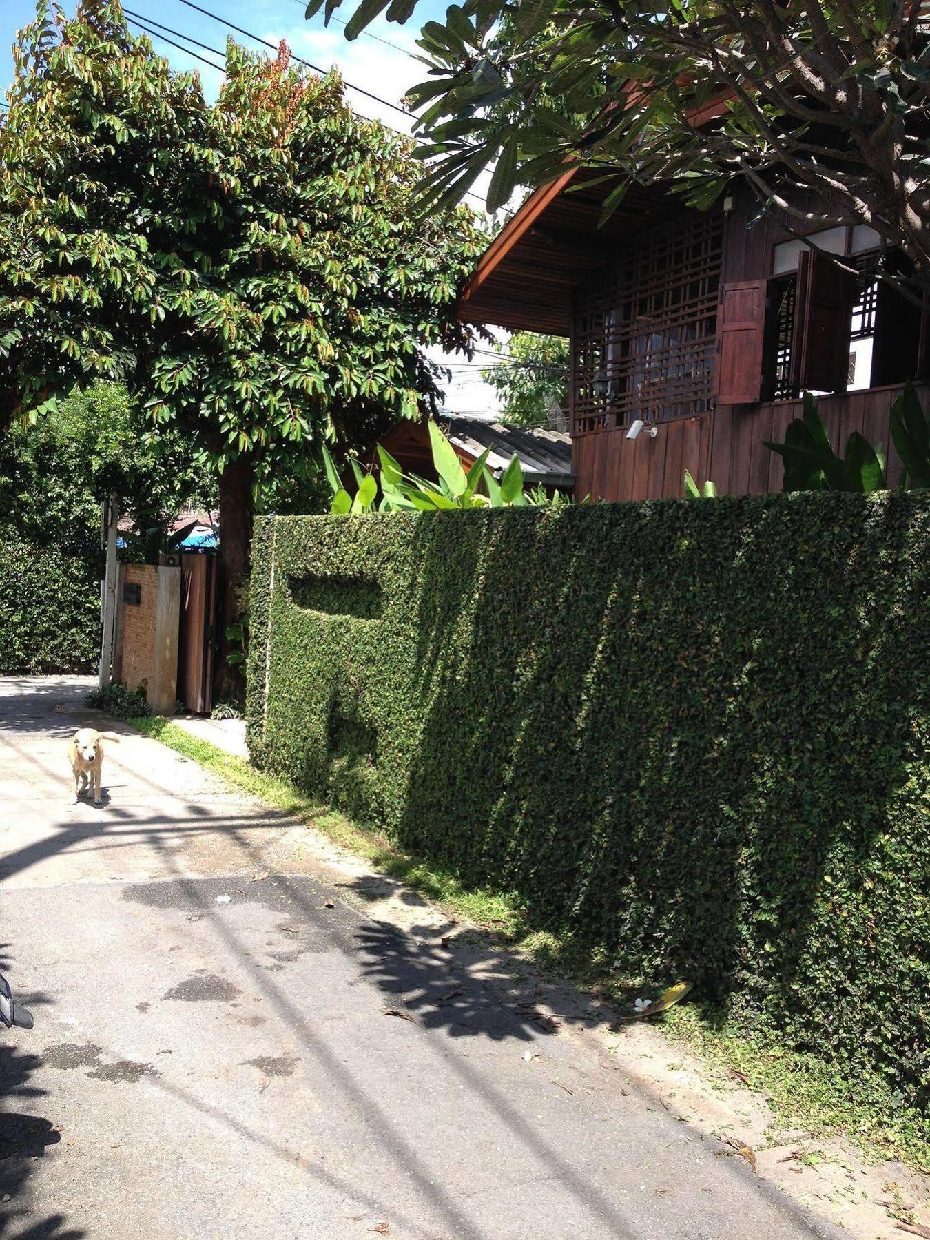 Chiang Maan Guest house 2*
