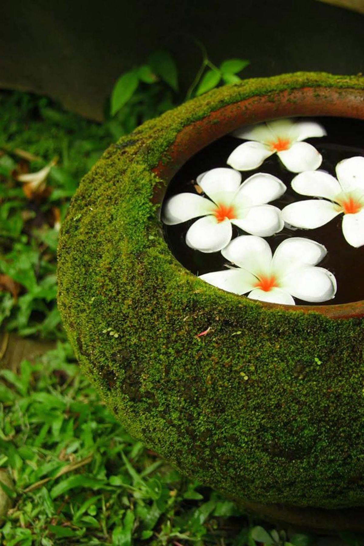 Hotel Ganesha House 3*