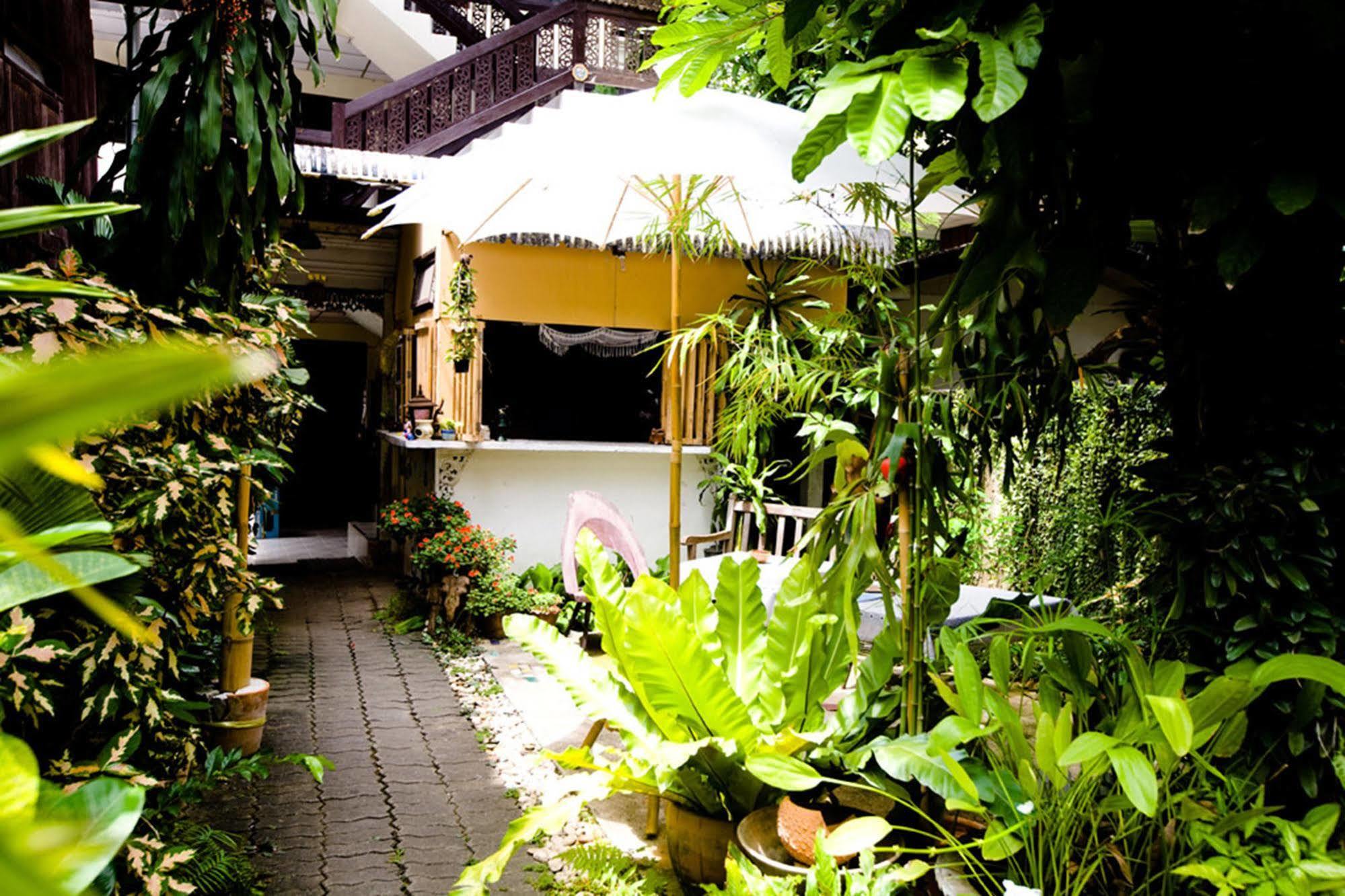 Kim House Chiang Mai