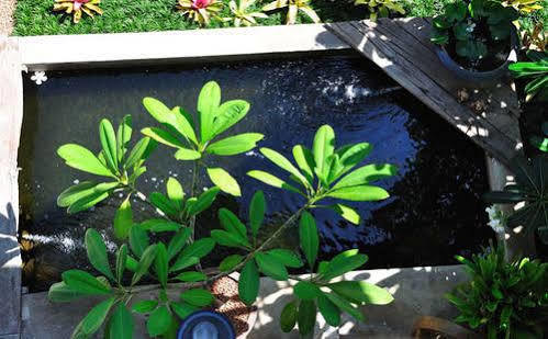 Baan Hanibah Guest house