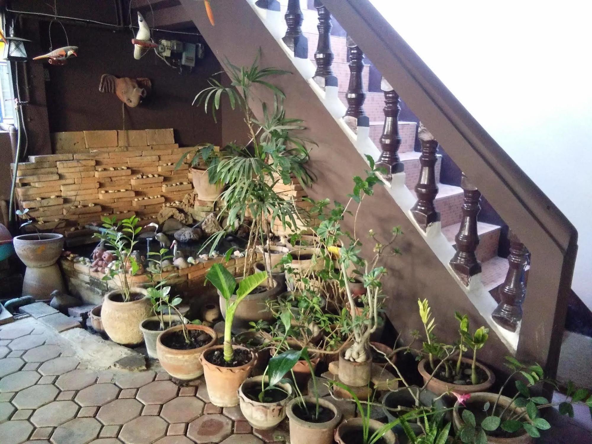 North Star Hostel *