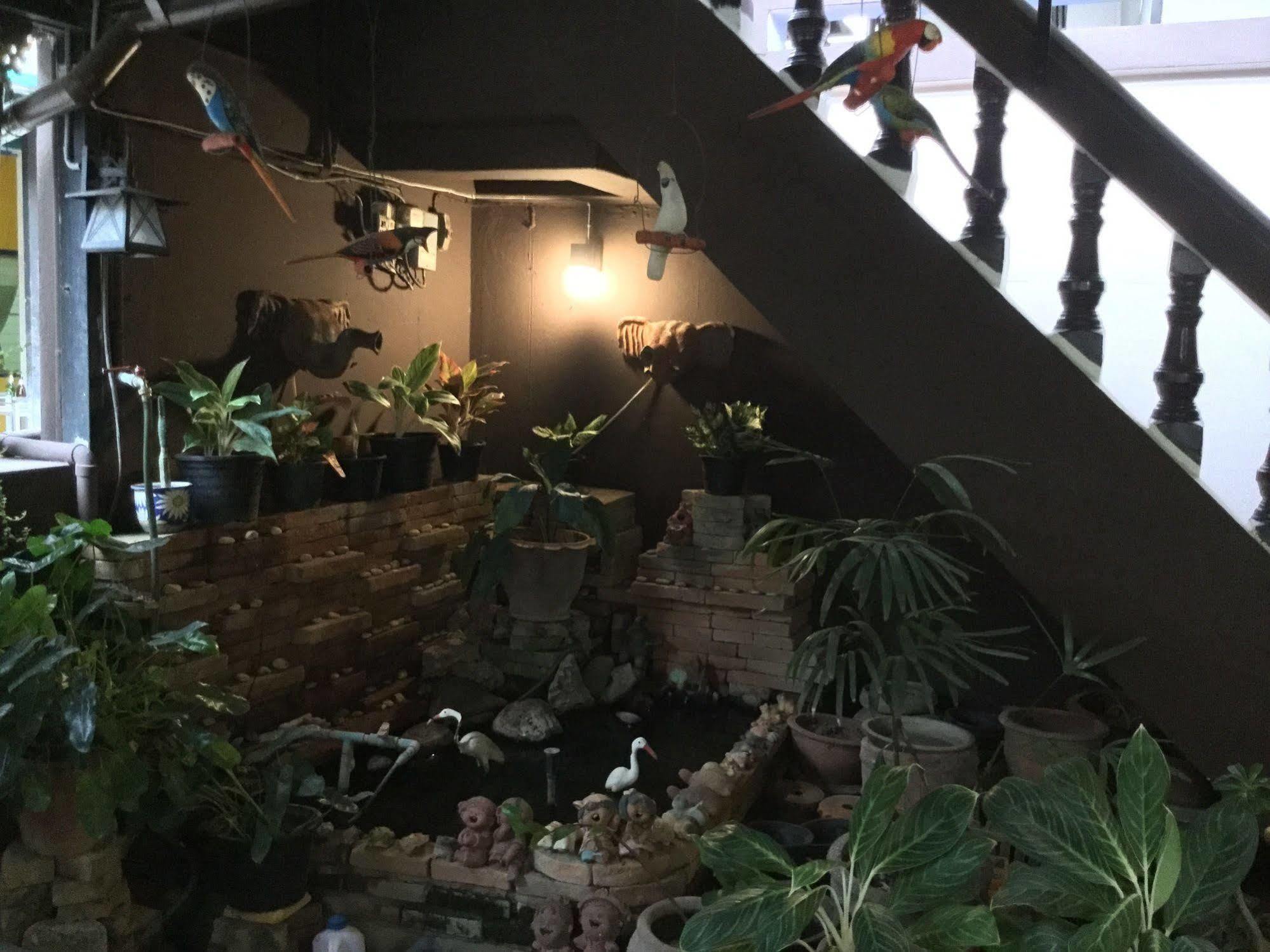 Hostel North Star Chiang Mai
