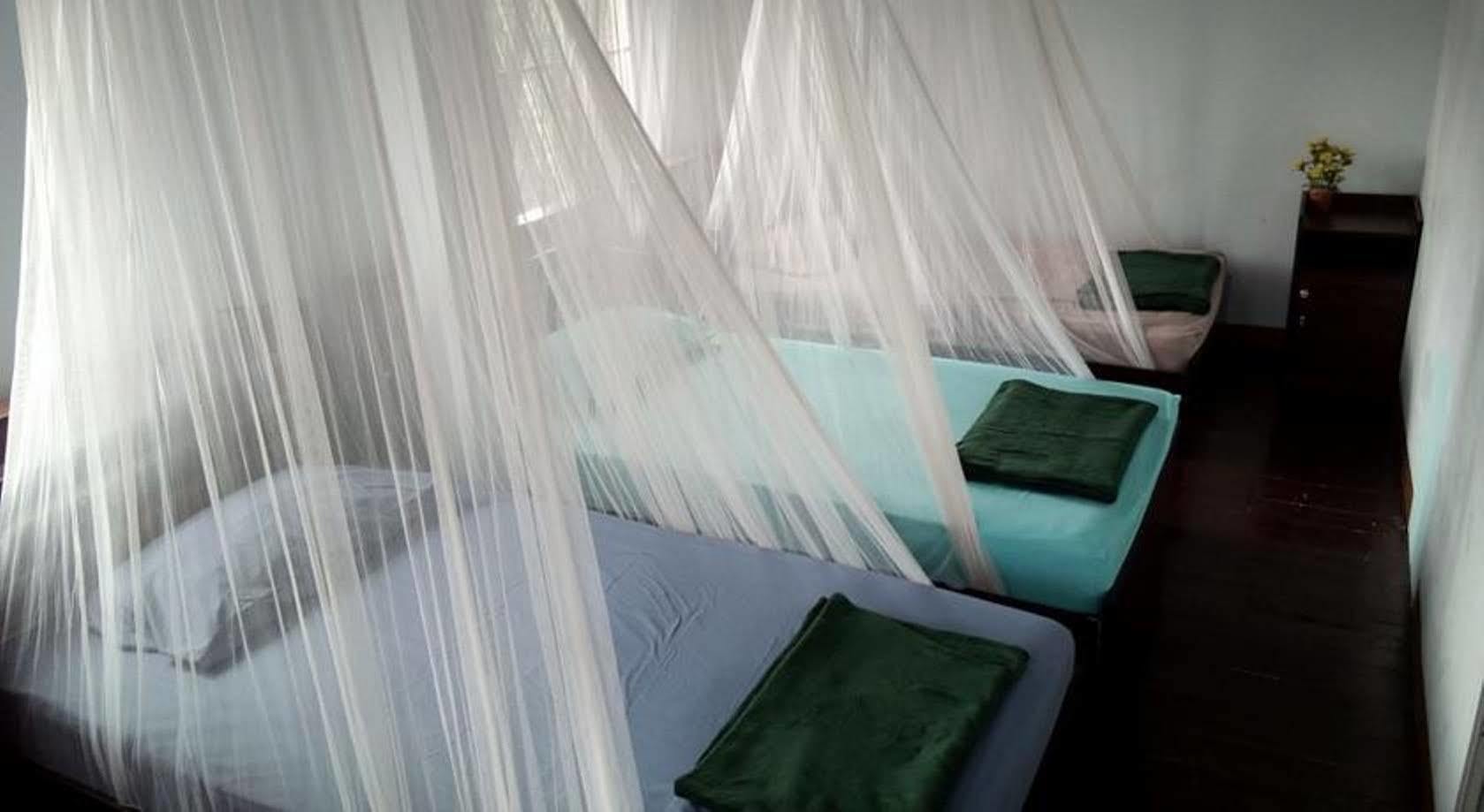 Twin House @ Tapae Albergue Chiang Mai
