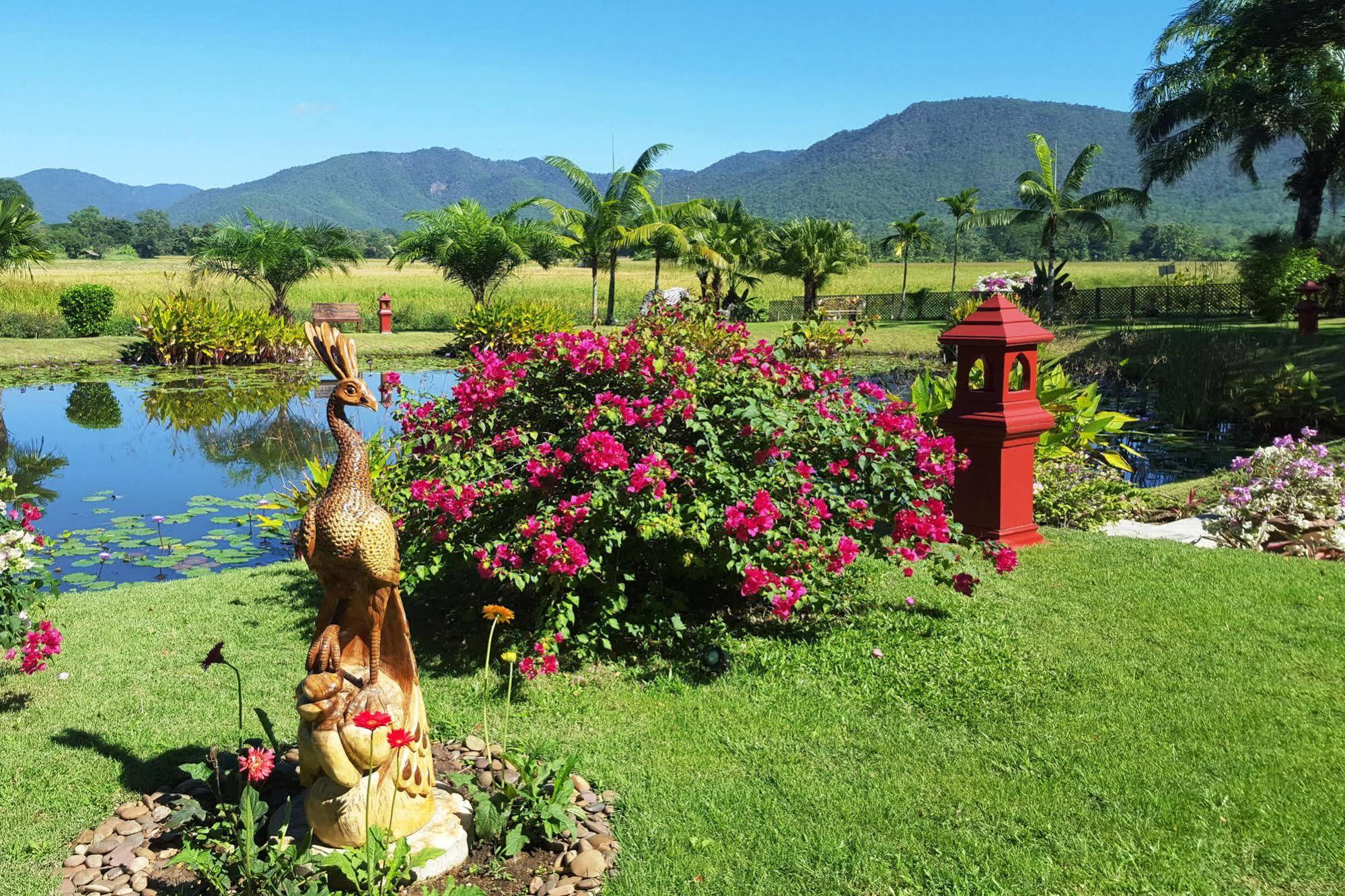 Rice And Zen Boutique Resort Chiang Mai