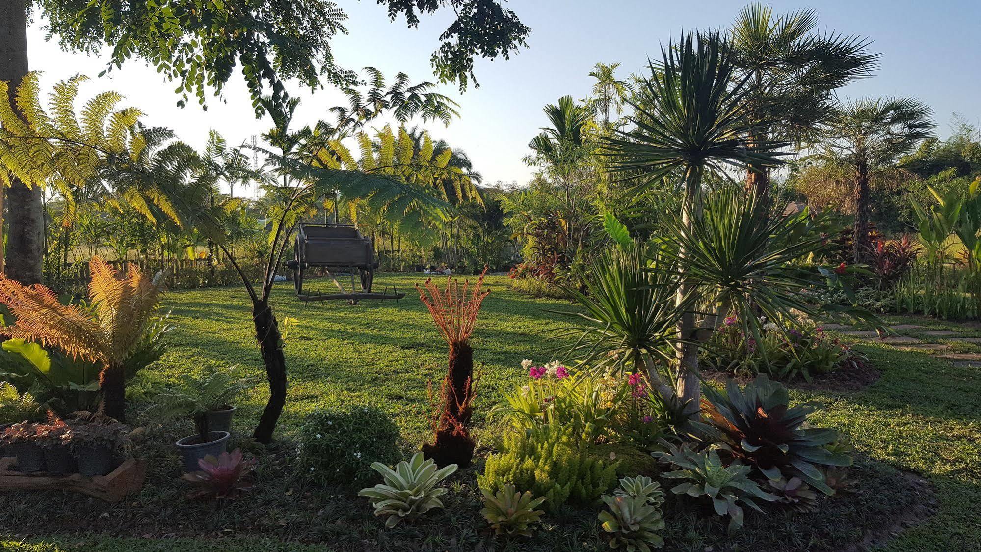 Rice And Zen Boutique Resort Chiang Mai