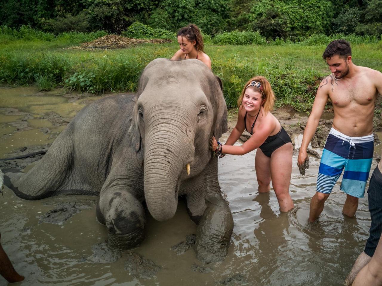 Slumber Party Albergue Chiang Mai