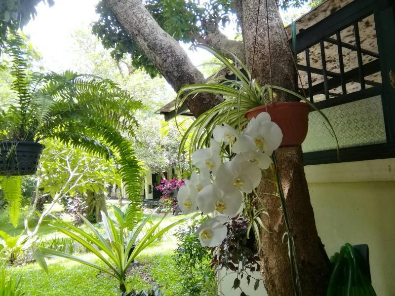 Resort Narittaya And Restaurant Chiang Mai