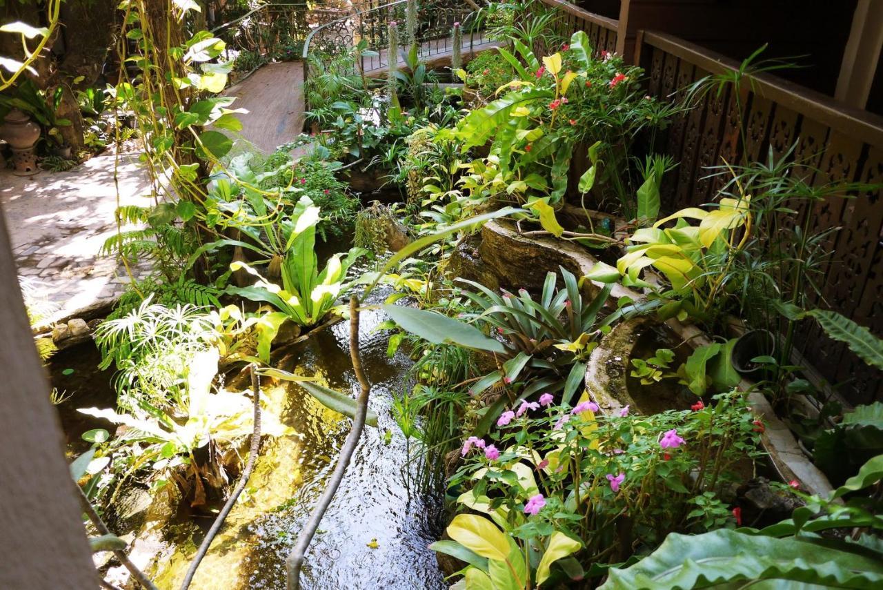 Gasthuis Mountain View Guesthousechiangmai 2*