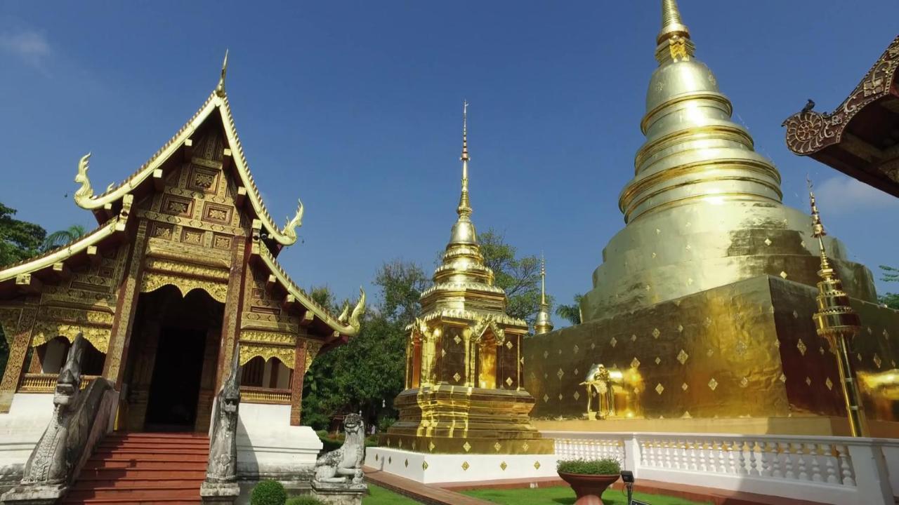 What's Up * Chiang Mai