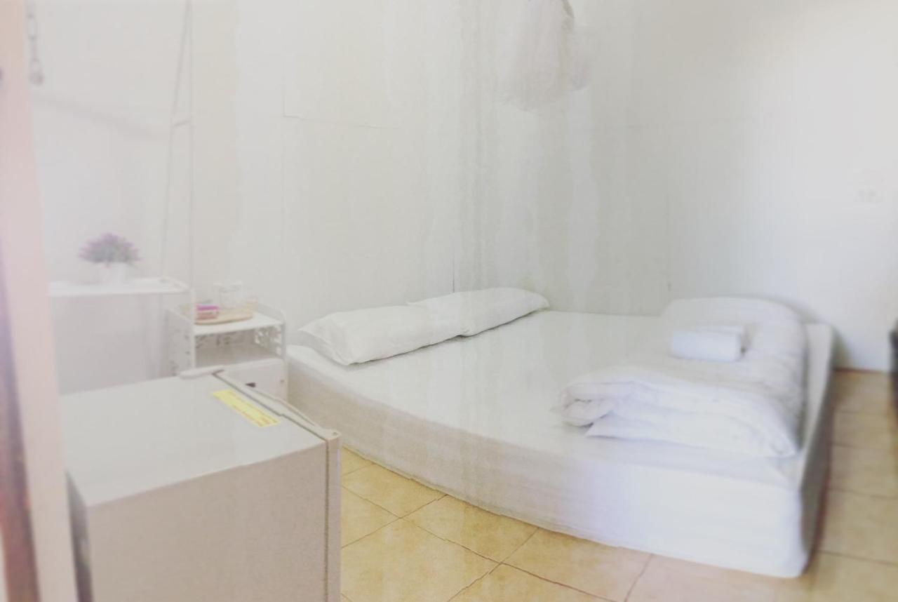 Absolute House Hostel Chiang Mai