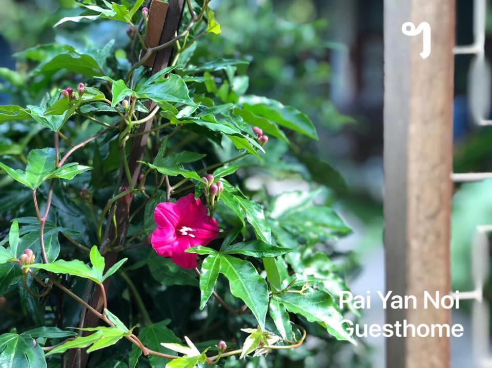 Paiyannoi Guesthome