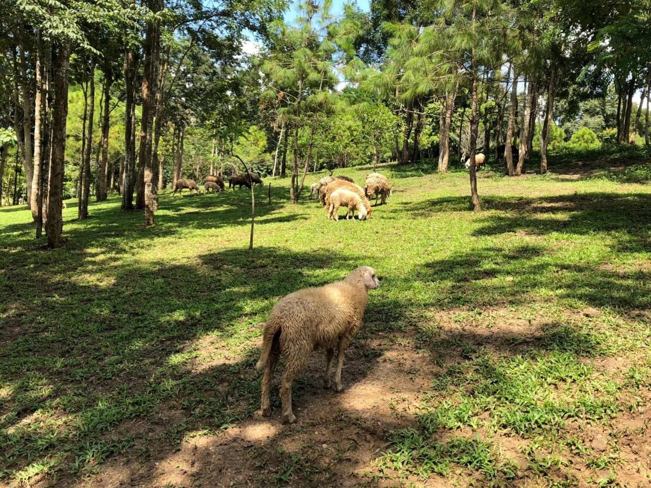 Ruean Racha Resort
