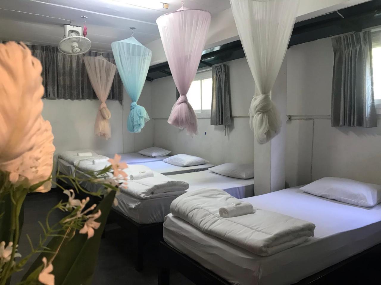 Absolute House Hostel *
