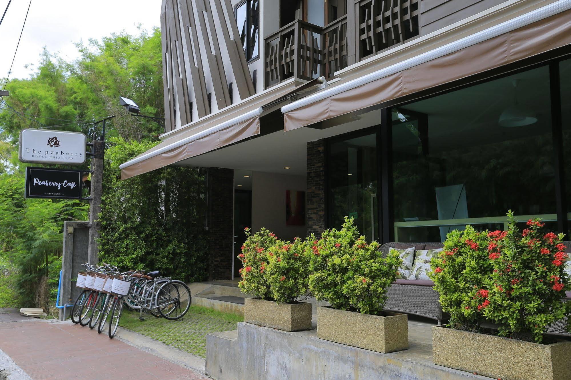 The Peaberry Boutique Chiang Mai
