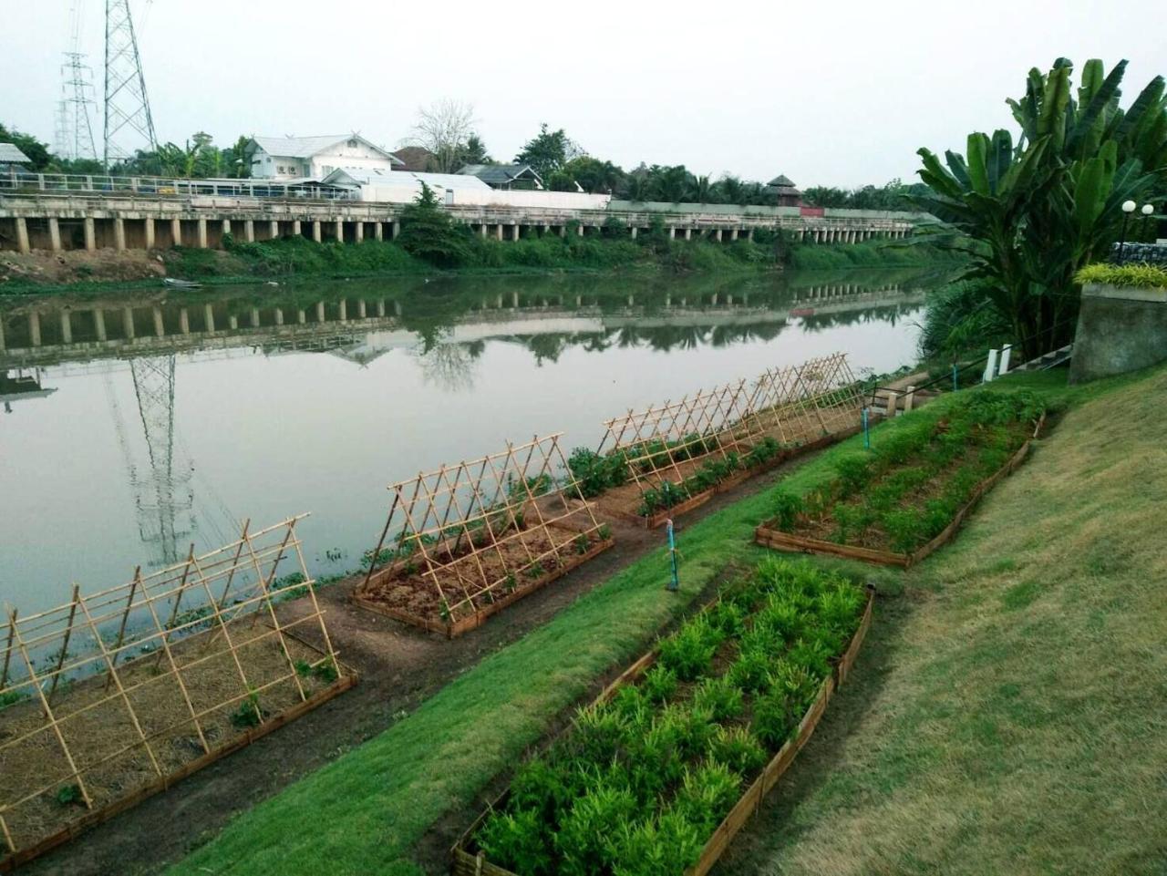 Resort The Loft Riverside Chiangmai Chiang Mai