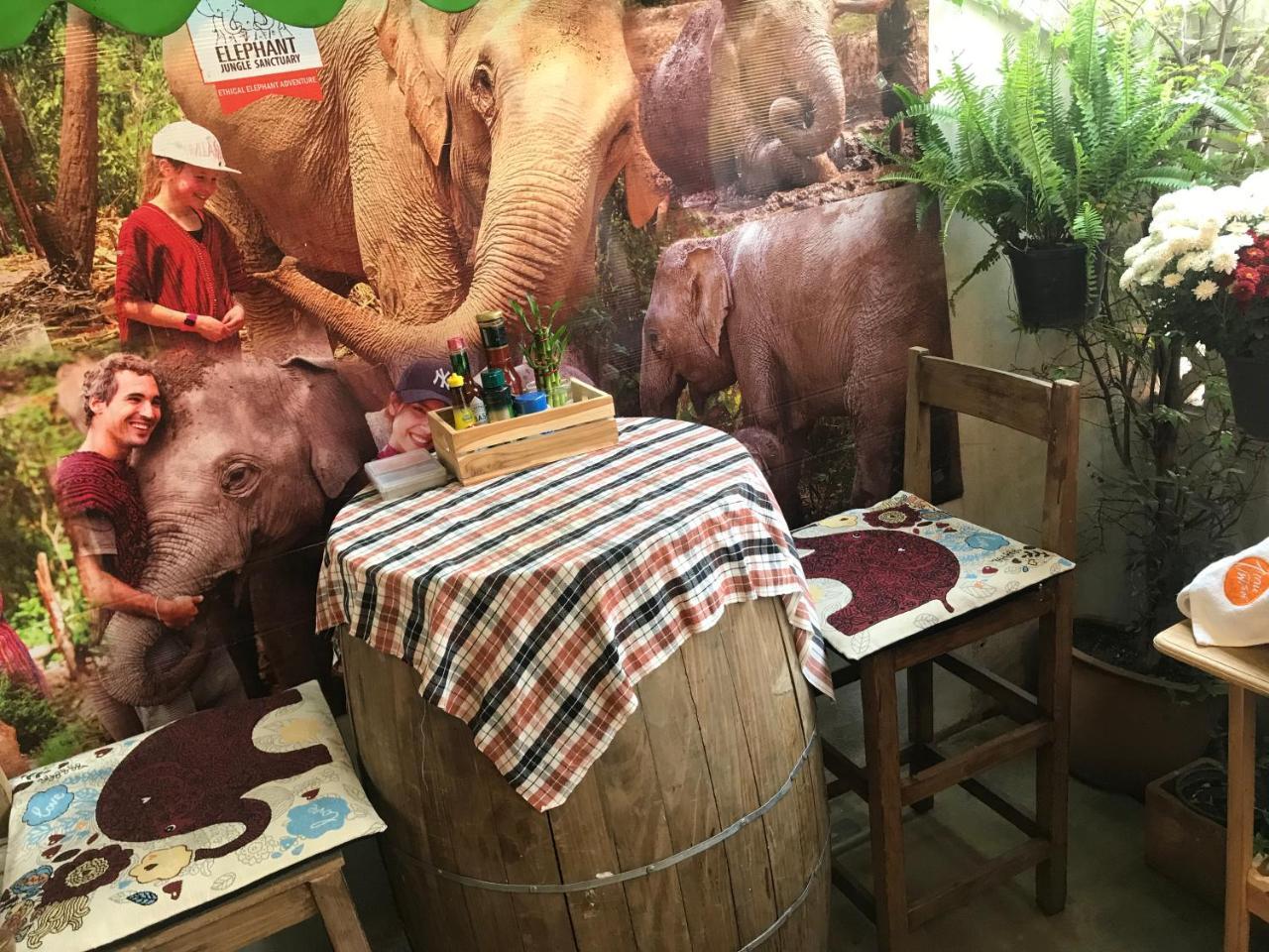 Absolute House Hostel *