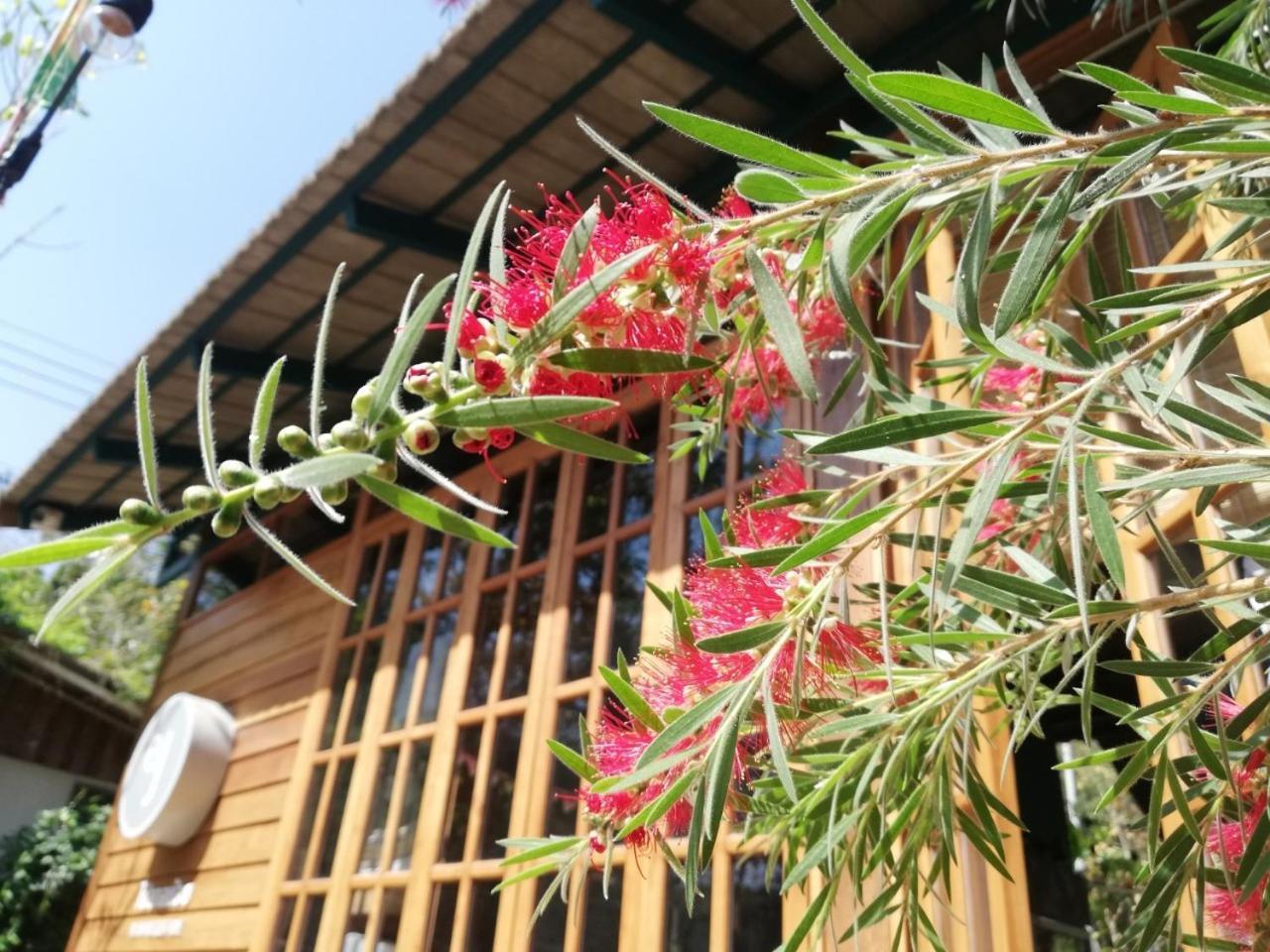 Paiyannoi Guesthome *