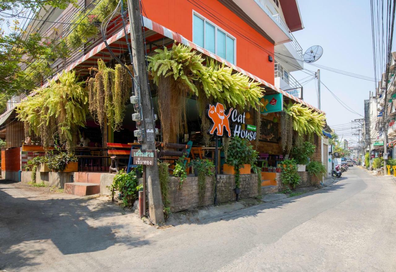 Cat House 3* Chiang Mai