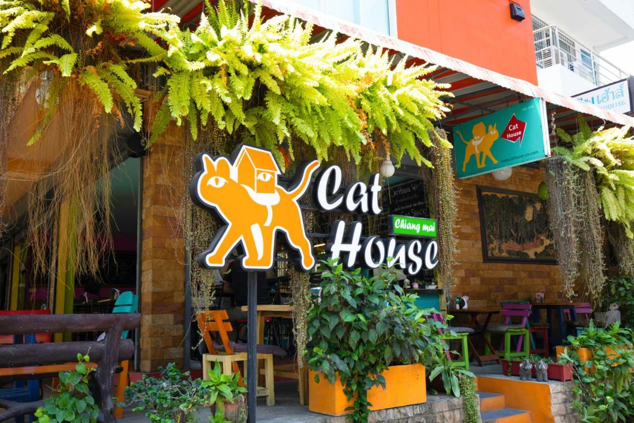 Hotel Cat House