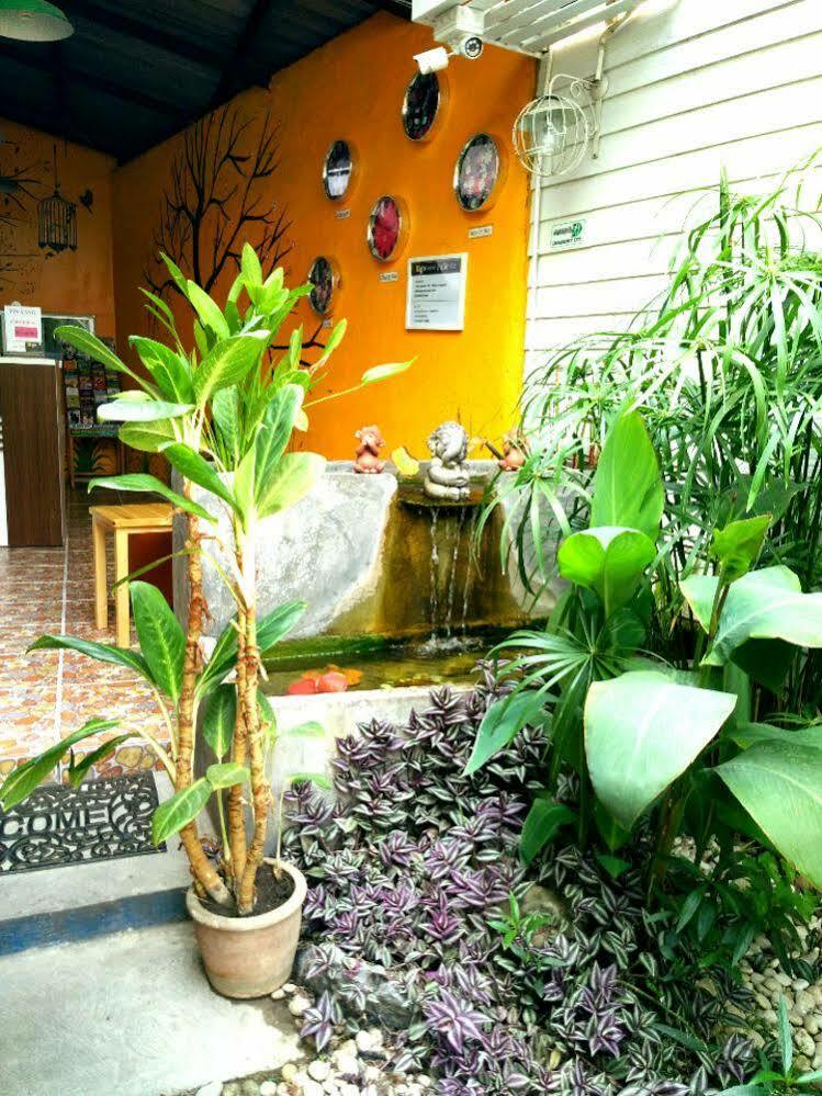Yin Yang Chiang Mai