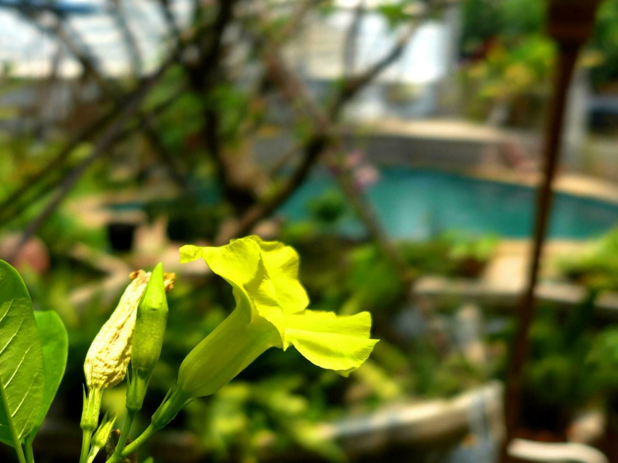 Guest house Yi's Garden