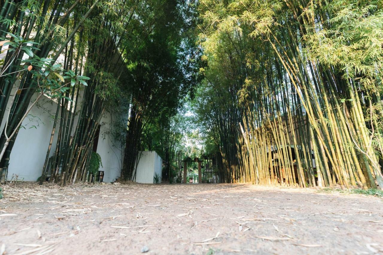 Mango T. Chiangmai Resort 4*