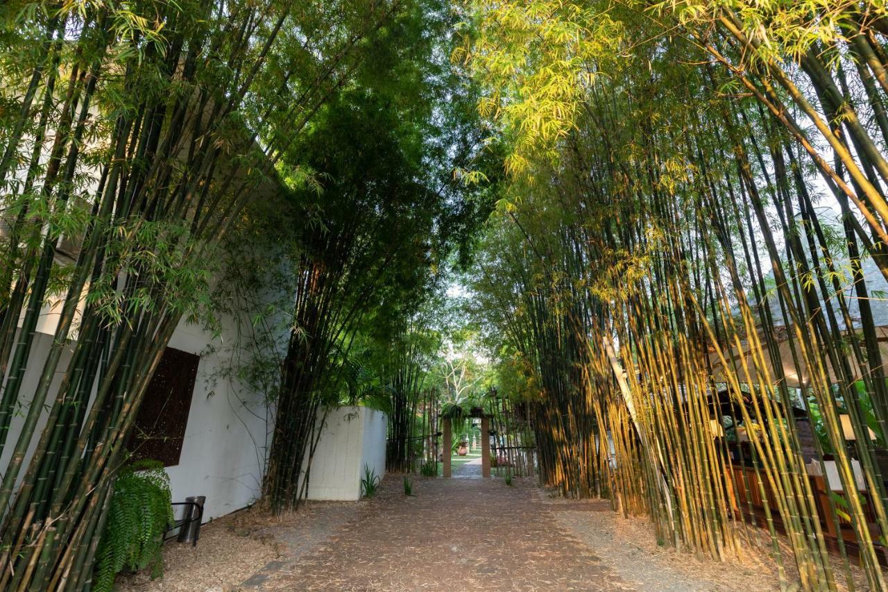 Mango T. Chiangmai Resort