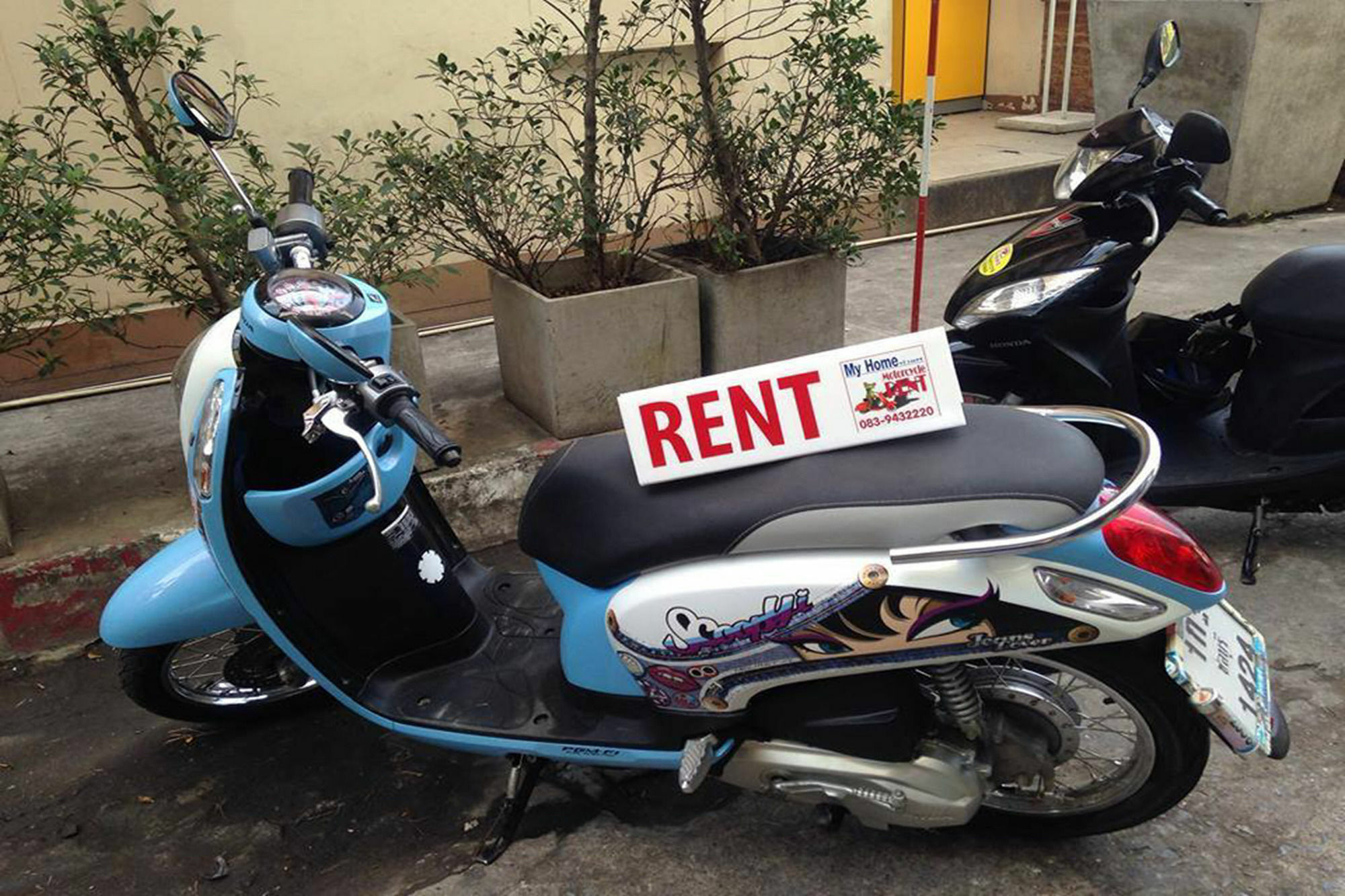 The Grace House Chiangmai