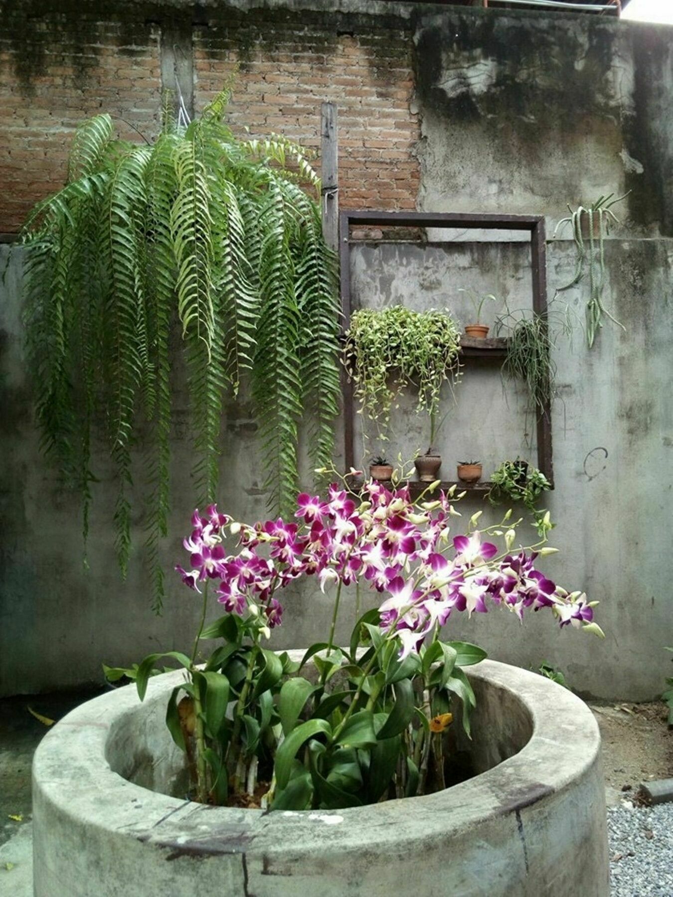Twin House @ Tapae Albergue *