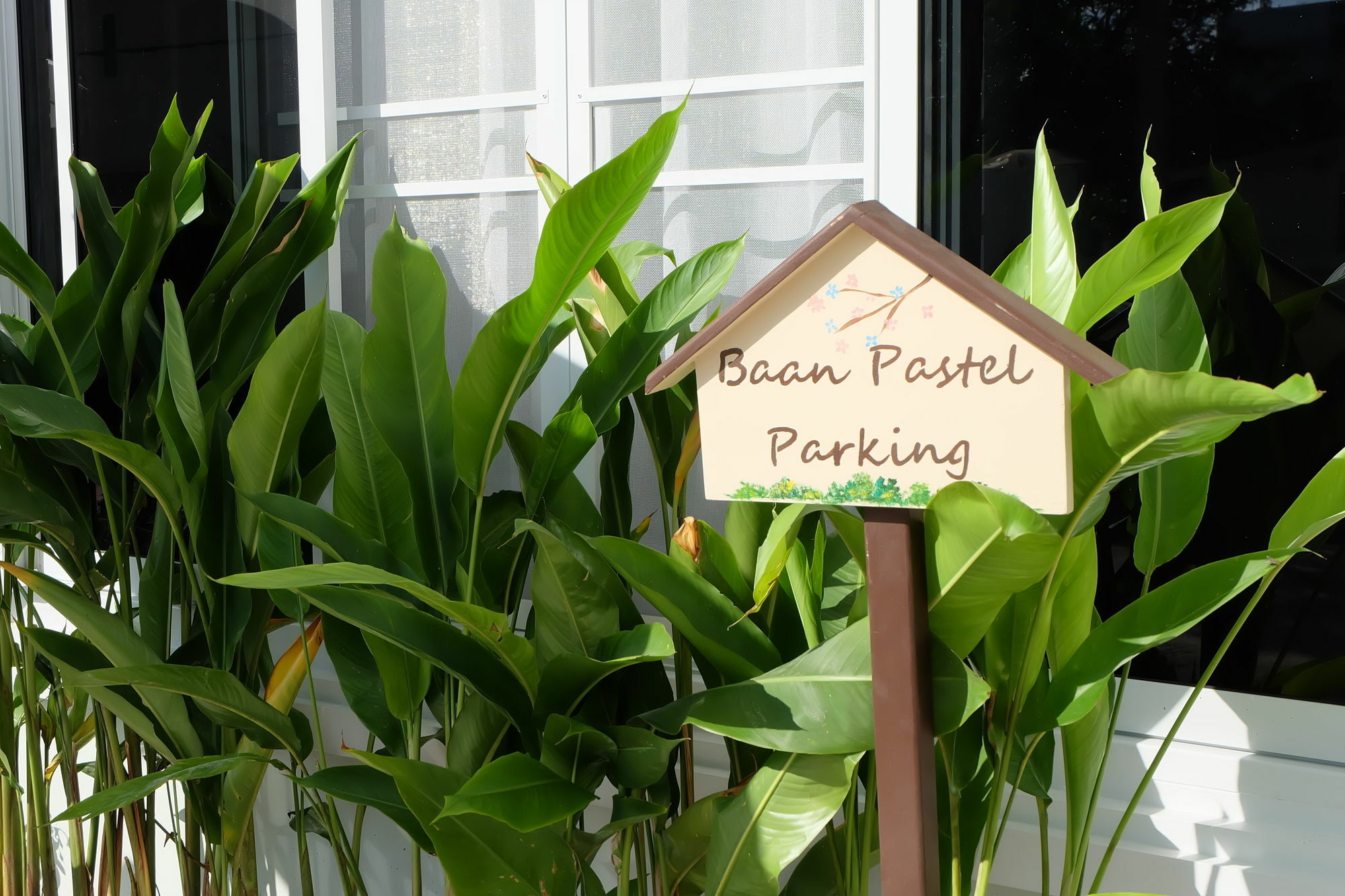 Noble Baan Pastel