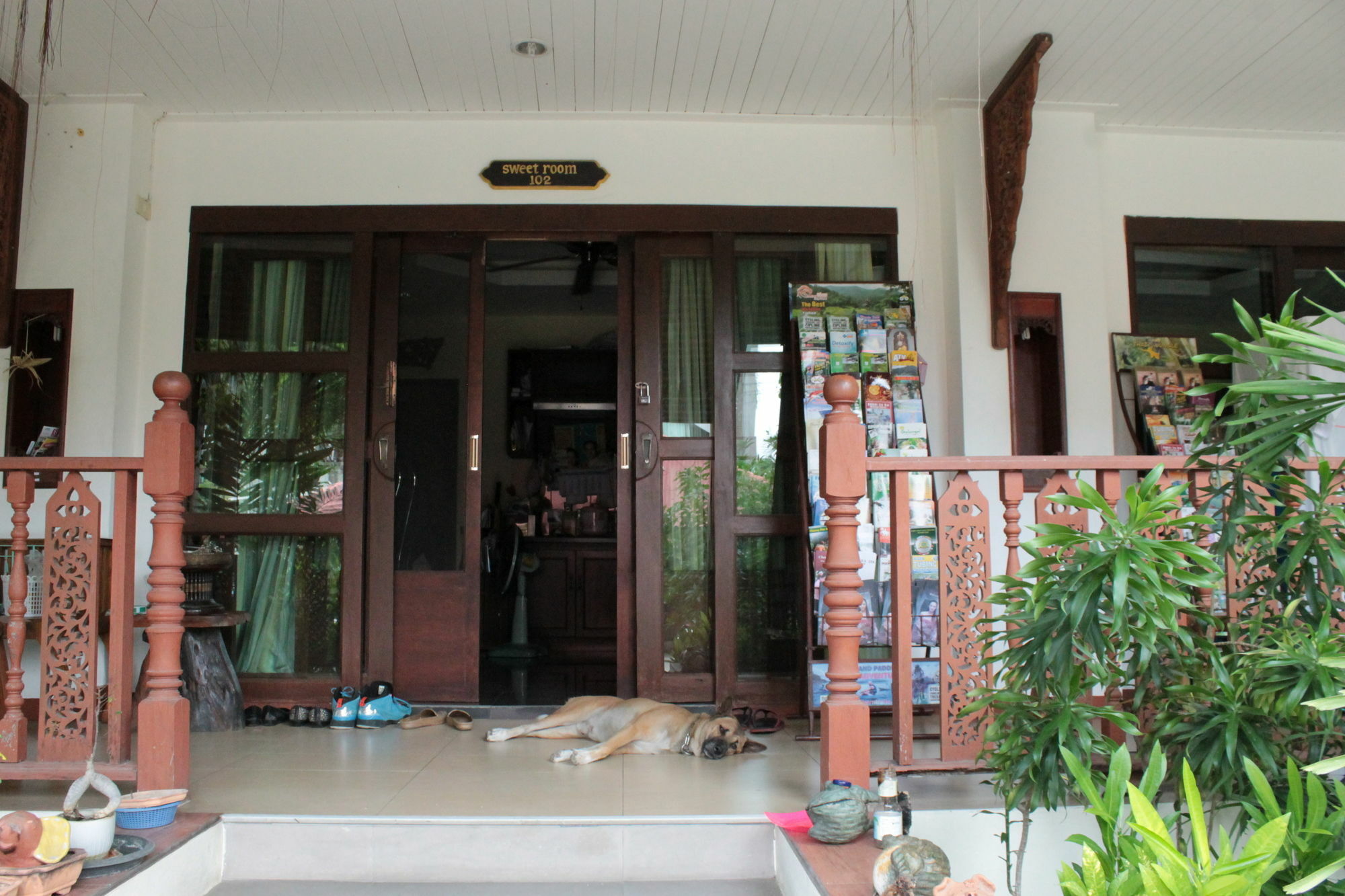 Flora House Guest house