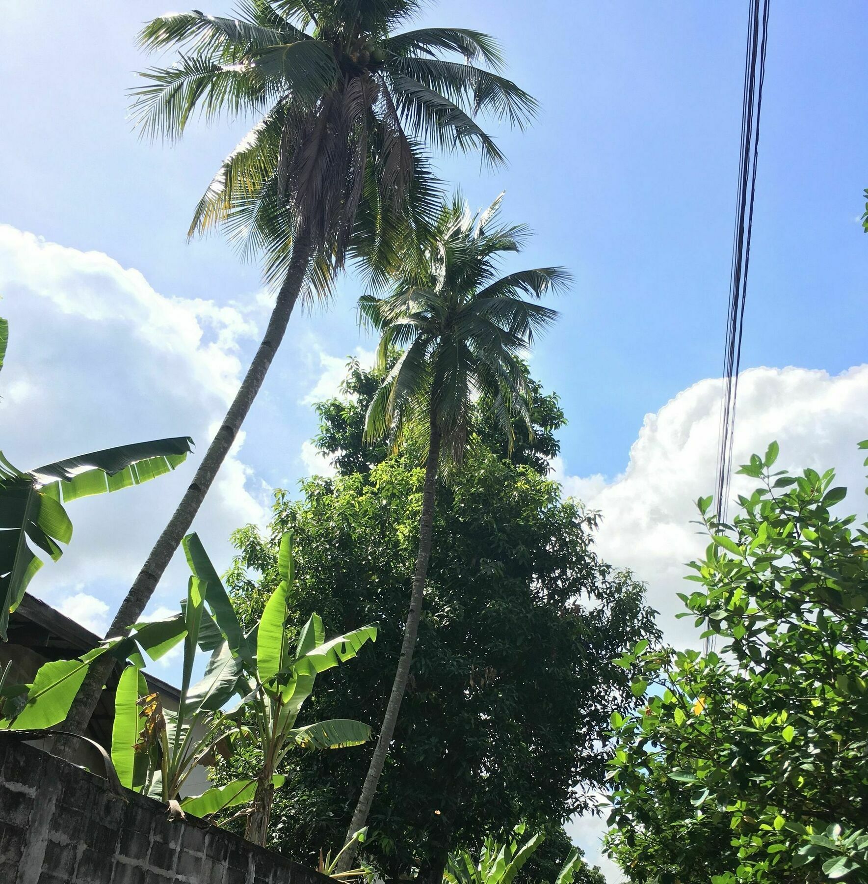 Him Dara Homestay