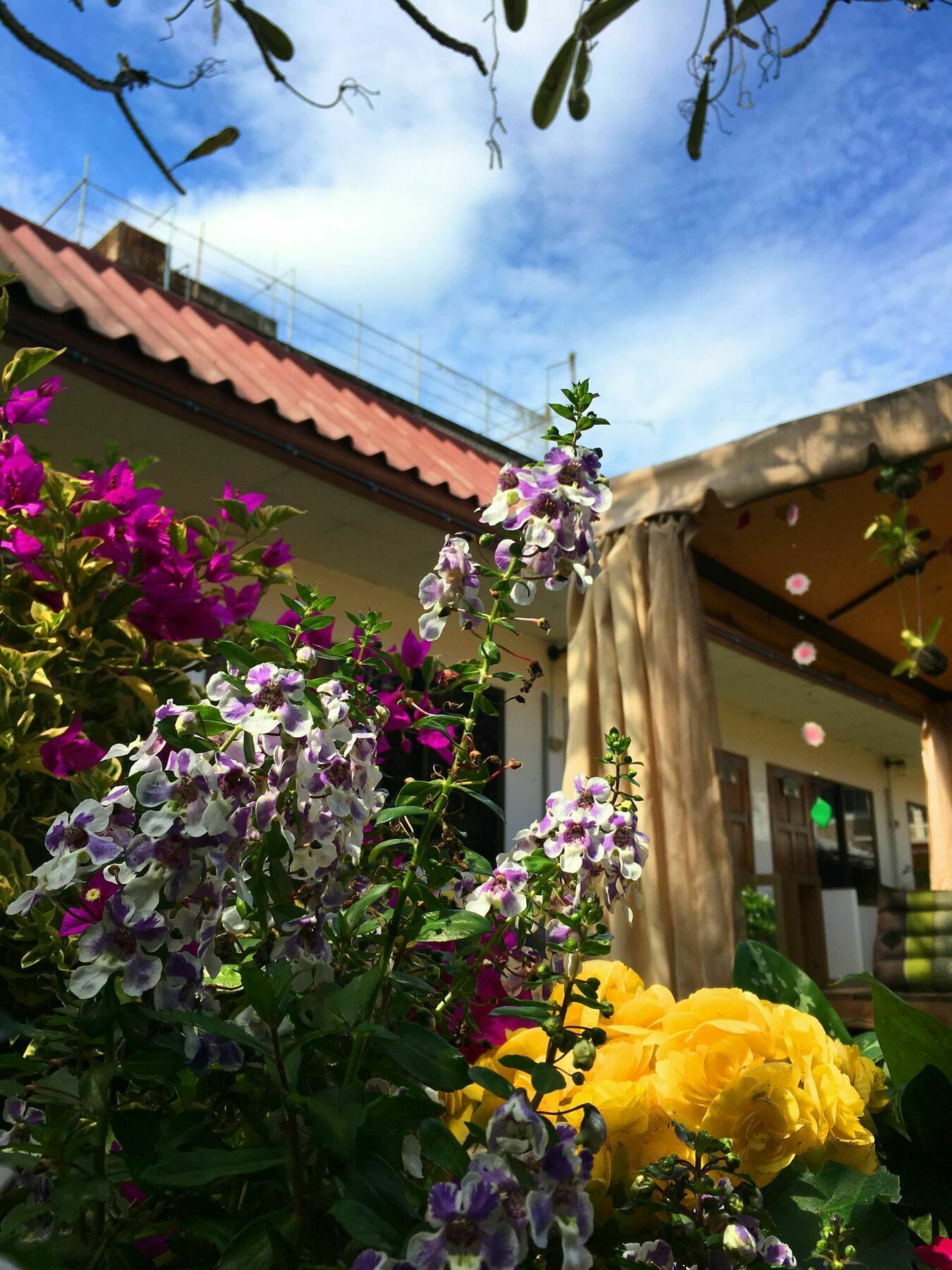 Guest house Cshouse 2*