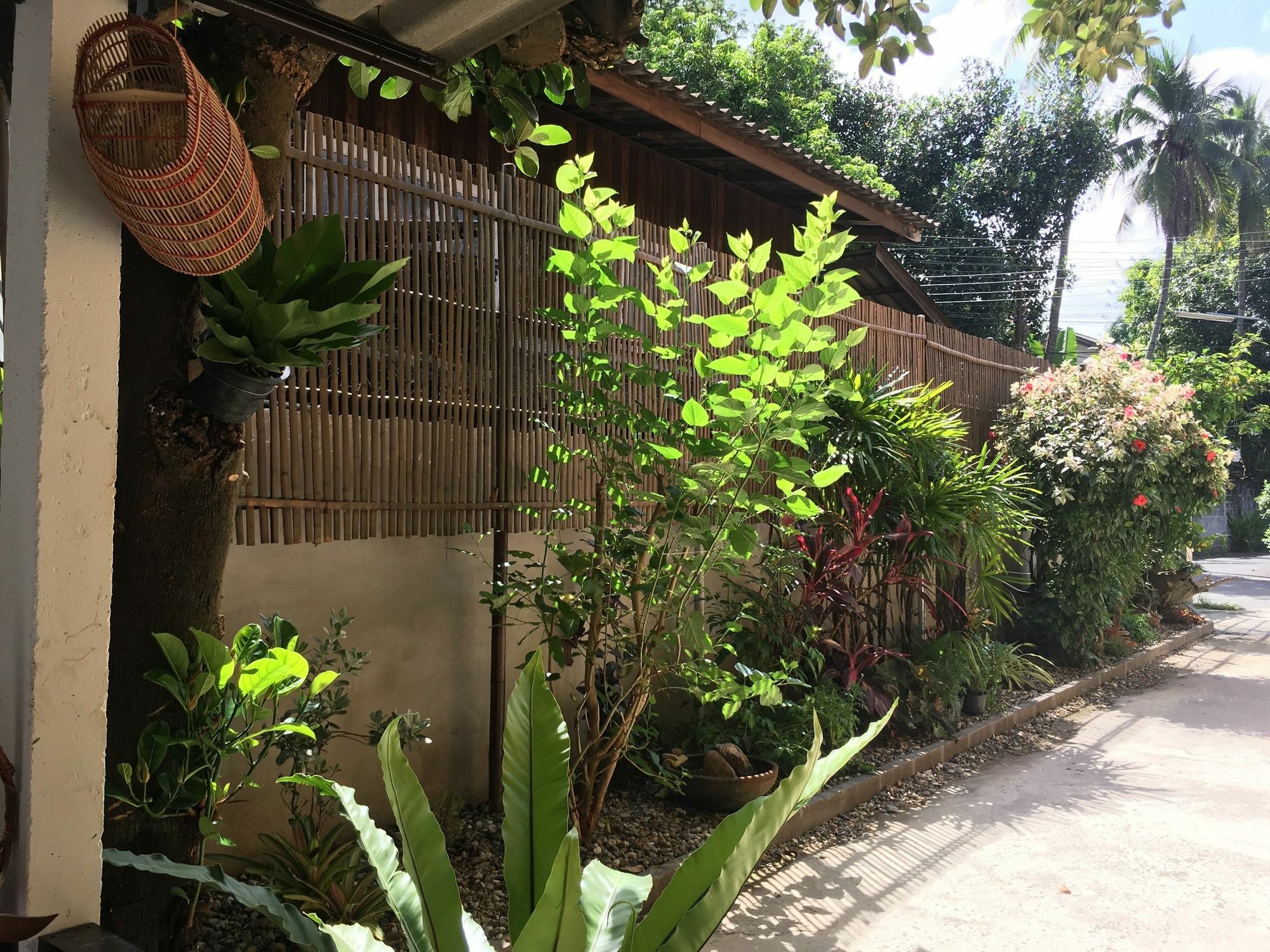 Him Dara Homestay Chiang Mai