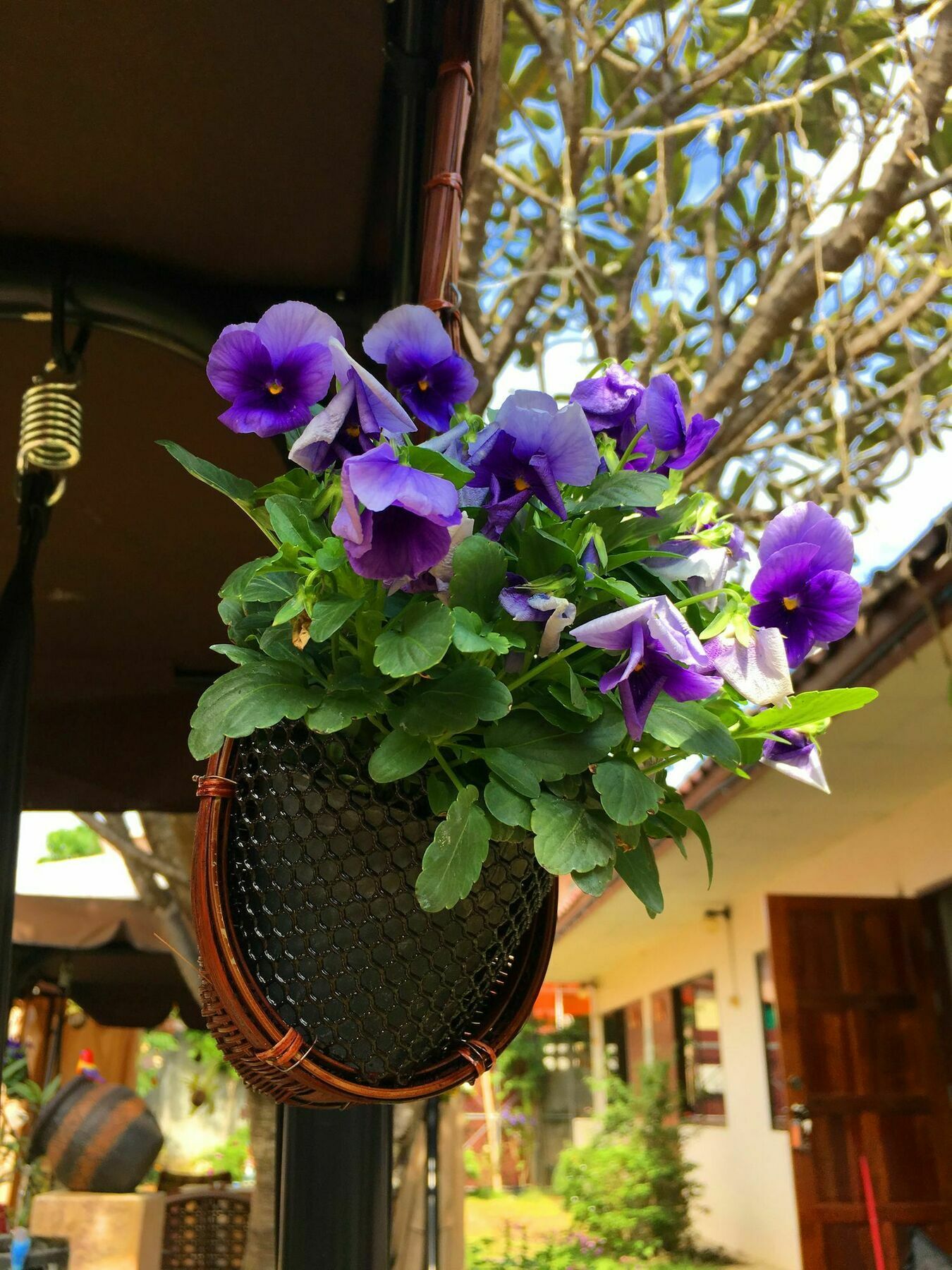 Guest house Cshouse Chiang Mai